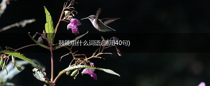 鼓能组什么词语(通用40句),第1张