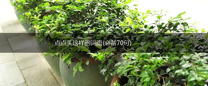 点点头这样的词语(必备70句),第1张