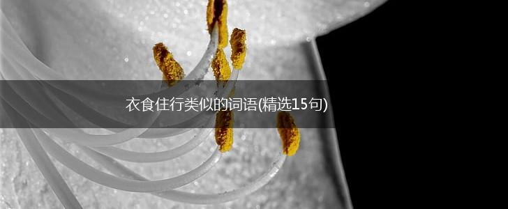 衣食住行类似的词语(精选15句),第1张