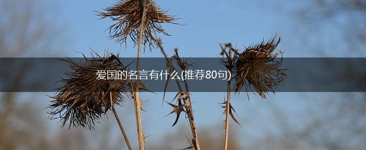 爱国的名言有什么(推荐80句),第1张 爱国的名言有什么(推荐80句),第1张
