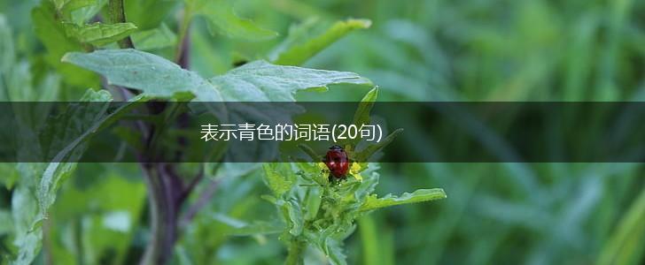 表示青色的词语(20句),第1张