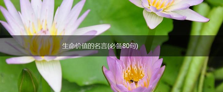 生命价值的名言(必备80句),第1张