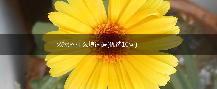 浓密的什么填词语(优选10句),第1张