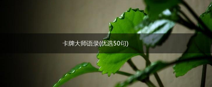 卡牌大师语录(优选50句),第1张