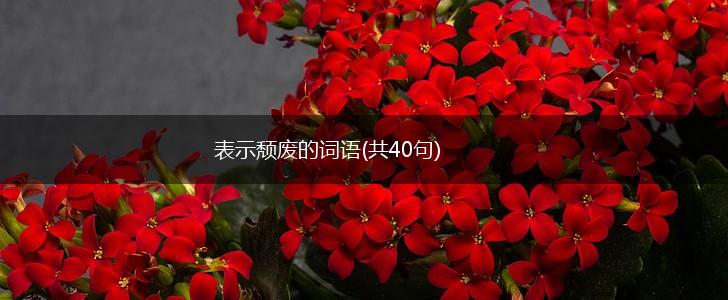 表示颓废的词语(共40句),第1张