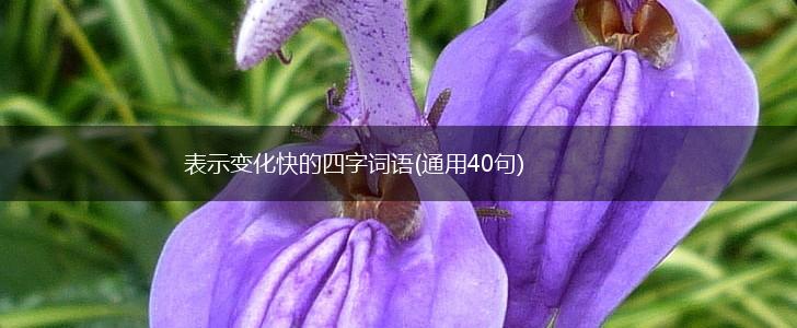 表示变化快的四字词语(通用40句),第1张