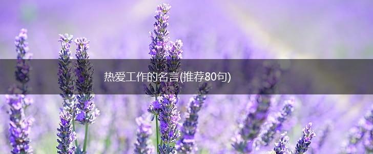 热爱工作的名言(推荐80句),第1张