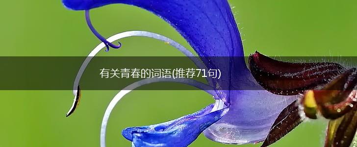 有关青春的词语(推荐71句),第1张