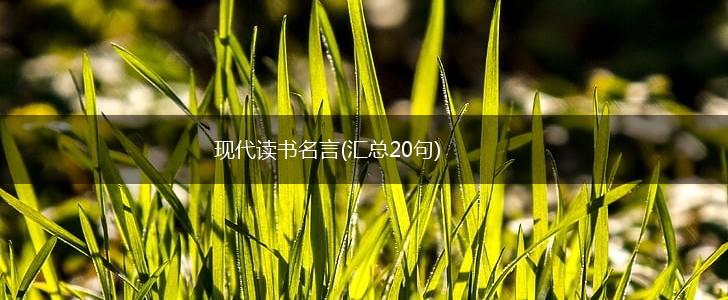 现代读书名言(汇总20句),第1张