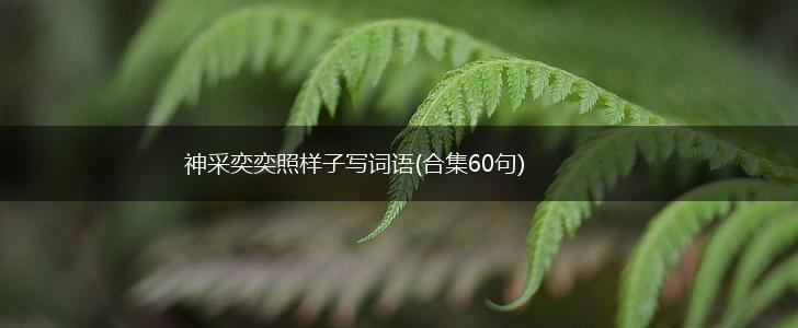 神采奕奕照样子写词语(合集60句),第1张