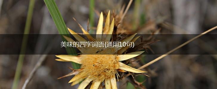 美味的四字词语(通用10句),第1张 美味的四字词语(通用10句),第1张