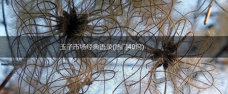 玉子市场经典语录(热门40句),第1张