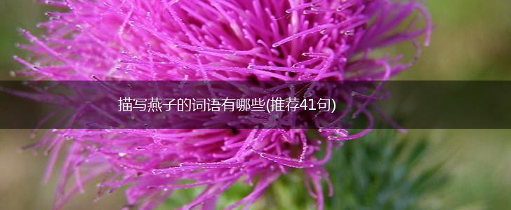 描写燕子的词语有哪些(推荐41句),第1张 描写燕子的词语有哪些(推荐41句),第1张