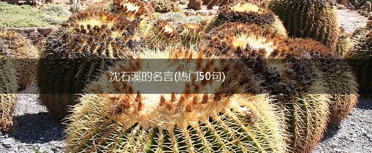 沈石溪的名言(热门50句),第1张