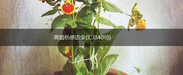 离婚伤感语录(汇总40句),第1张