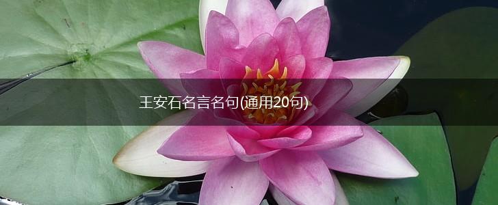 王安石名言名句(通用20句),第1张