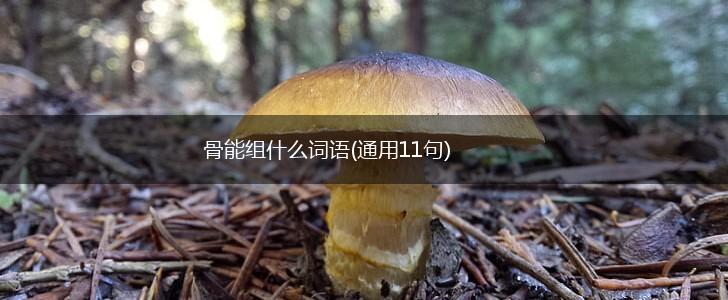 骨能组什么词语(通用11句),第1张