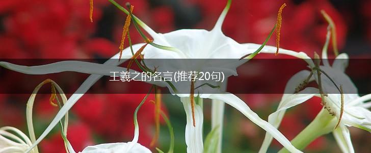 王羲之的名言(推荐20句),第1张 王羲之的名言(推荐20句),第1张