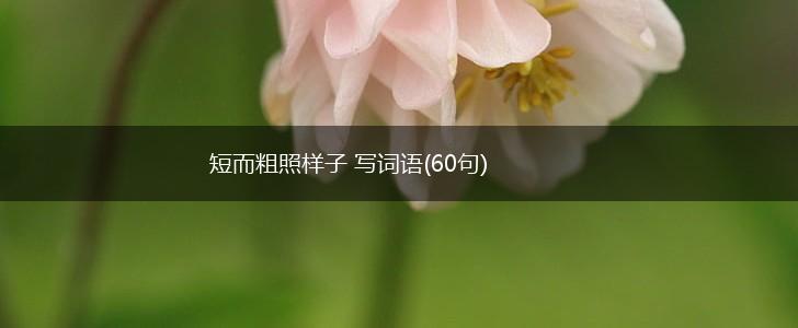 短而粗照样子 写词语(60句),第1张