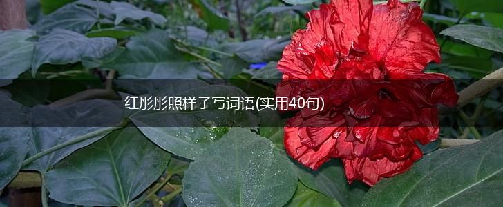 红彤彤照样子写词语(实用40句),第1张