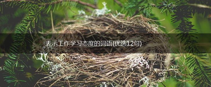 表示工作学习态度的词语(优选12句),第1张