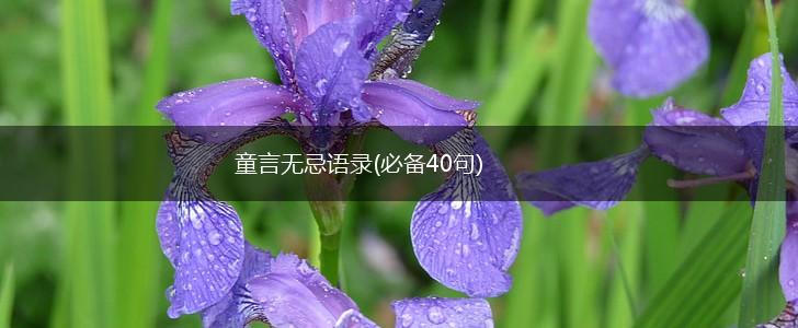 童言无忌语录(必备40句),第1张
