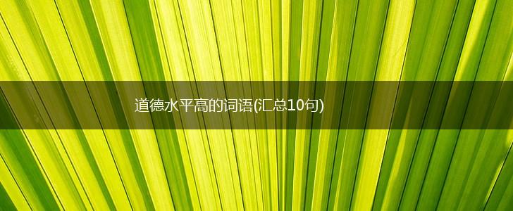 道德水平高的词语(汇总10句),第1张