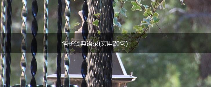 痞子经典语录(实用20句),第1张
