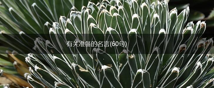 有关准备的名言(60句),第1张 有关准备的名言(60句),第1张