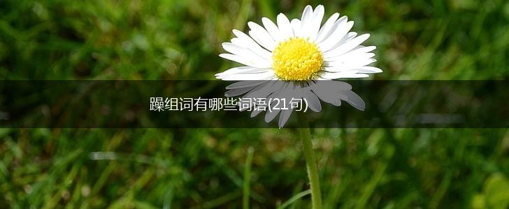 躁组词有哪些词语(21句),第1张