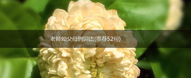 老师如父母的词语(推荐52句),第1张