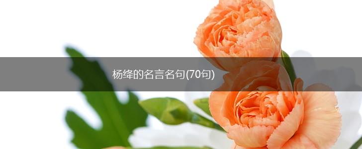 杨绛的名言名句(70句),第1张