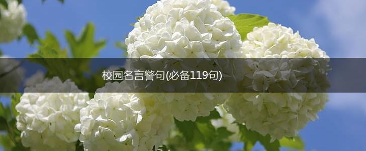 校园名言警句(必备119句),第1张 校园名言警句(必备119句),第1张