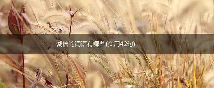 诚信的词语有哪些(实用42句),第1张