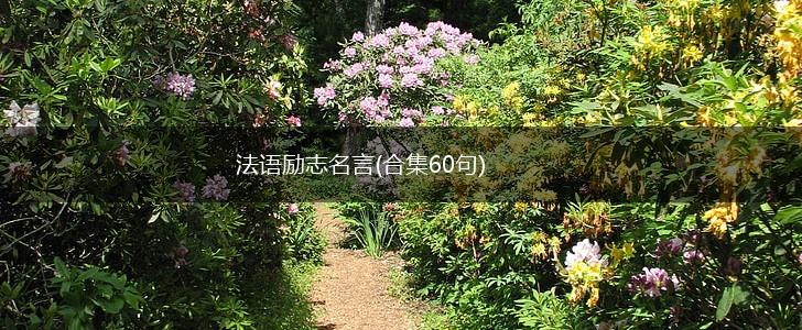 法语励志名言(合集60句),第1张