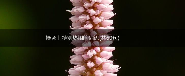 操场上特别热闹的词语(共60句),第1张 操场上特别热闹的词语(共60句),第1张