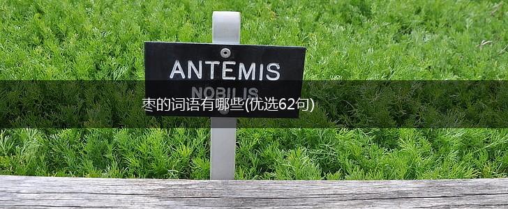 枣的词语有哪些(优选62句),第1张