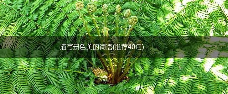 描写景色美的词语(推荐40句),第1张 描写景色美的词语(推荐40句),第1张