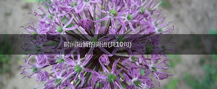 时间短暂的词语(共10句),第1张