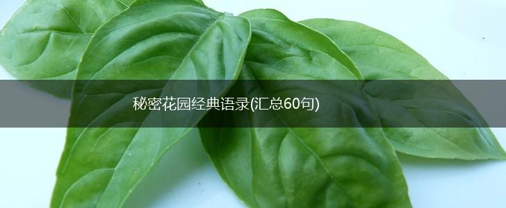 秘密花园经典语录(汇总60句),第1张