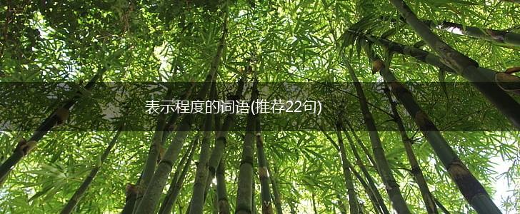 表示程度的词语(推荐22句),第1张