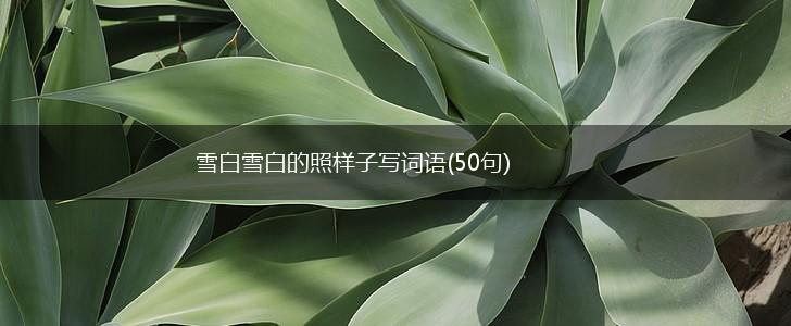 雪白雪白的照样子写词语(50句),第1张