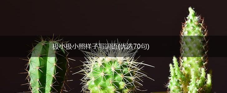 极小极小照样子写词语(优选70句),第1张