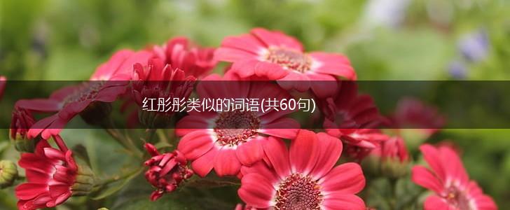 红彤彤类似的词语(共60句),第1张 红彤彤类似的词语(共60句),第1张