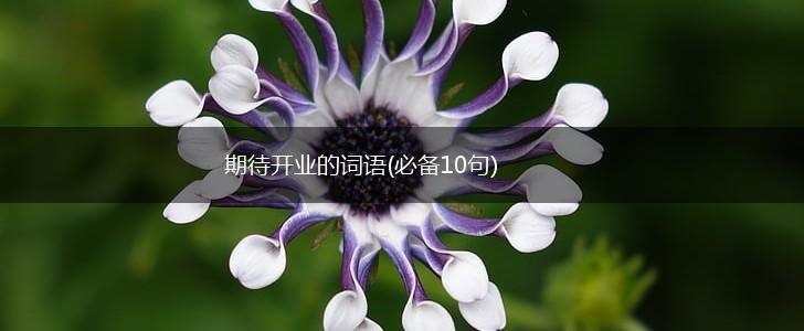 期待开业的词语(必备10句),第1张