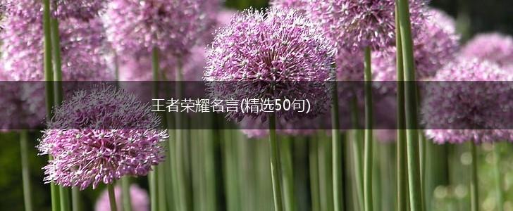 王者荣耀名言(精选50句),第1张
