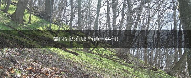 端的词语有哪些(通用44句),第1张