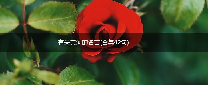 有关黄河的名言(合集42句),第1张