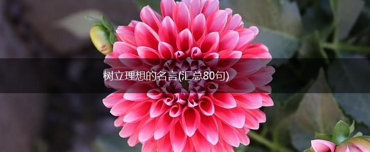 树立理想的名言(汇总80句),第1张 树立理想的名言(汇总80句),第1张