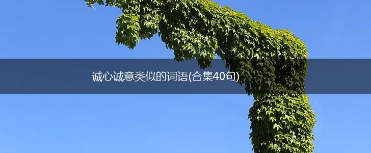 诚心诚意类似的词语(合集40句),第1张